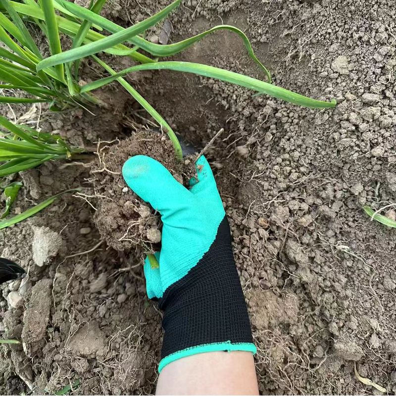 Rękawice ogrodnicze z wbudowan – Gardening Glove Waterproof recenzja i cena